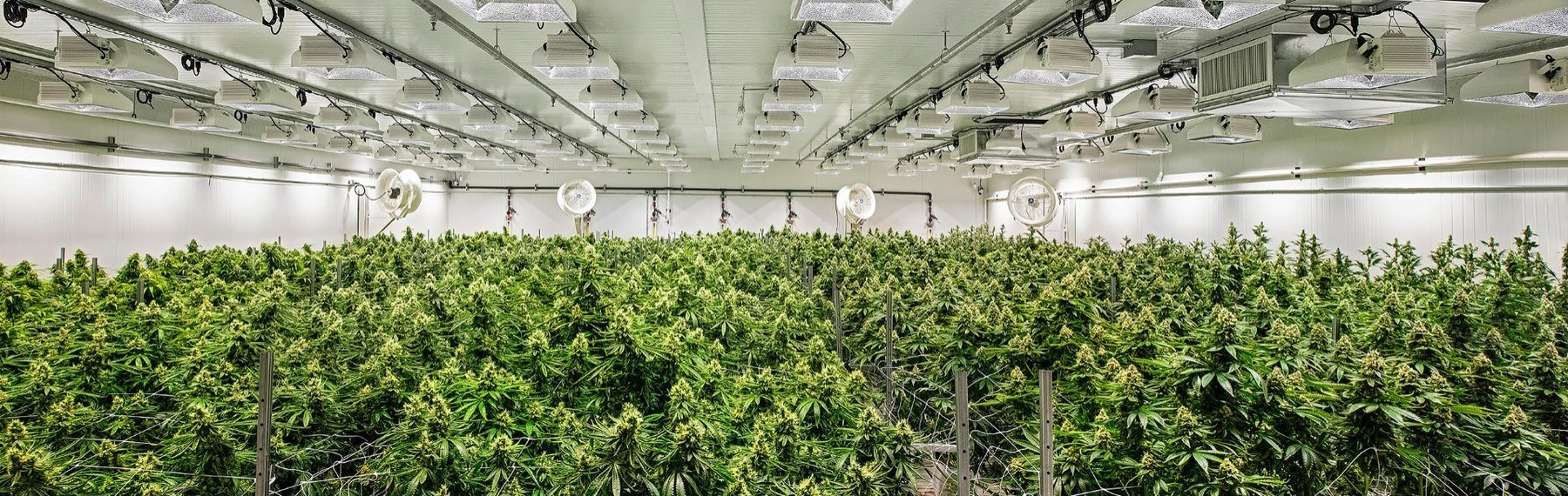 indoor growing facility